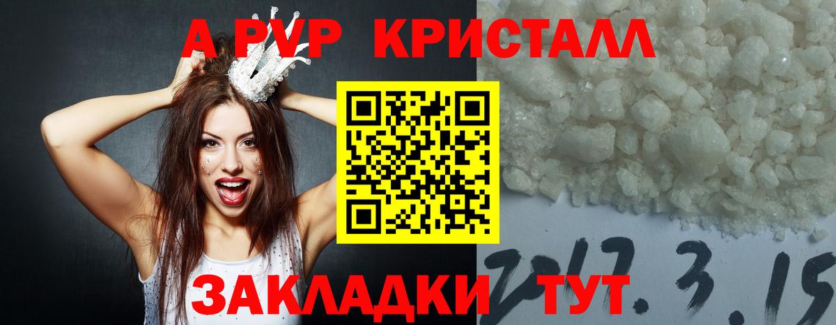 А ПВП Соль  Вход с VPN  Углич  Альфа ПВП крисы CK  как найти   Alfa_PVP СК КРИС 