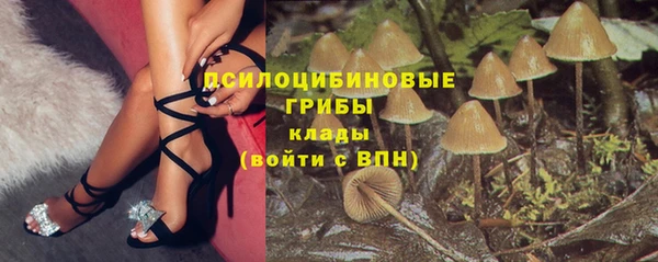 СК Михайлов