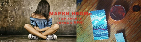 СК Михайлов