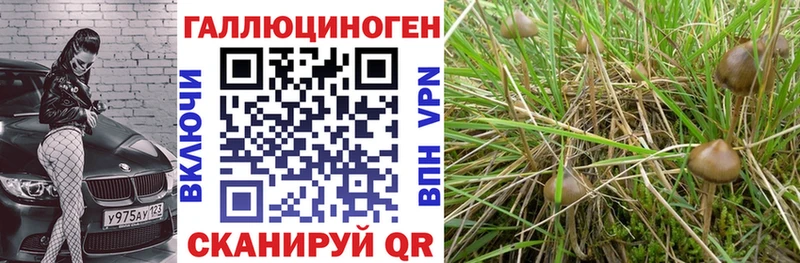 Галлюциногенные грибы Cubensis  Углич 